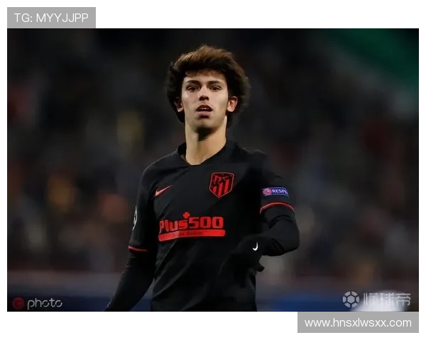 菲利克斯从西蒙尼体系到技术解放的适配难题解析